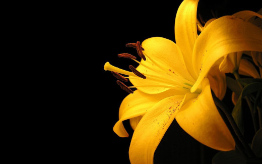 504494 (a): :1680x1050